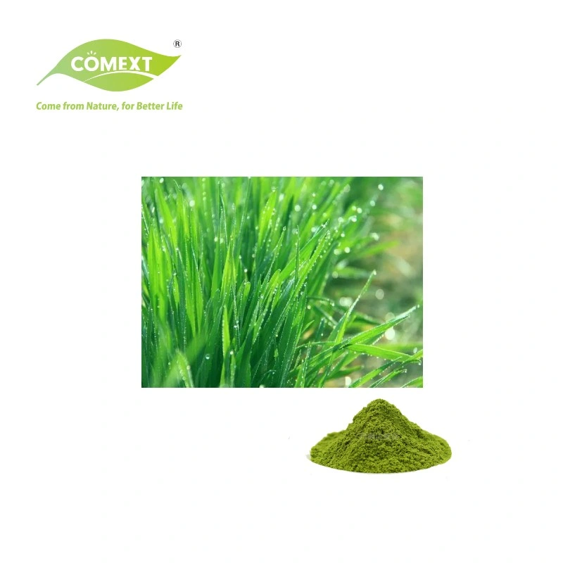 Comext 100% Natural Organic Barley Grass Powder Organic Barley Juice Powder for Bake