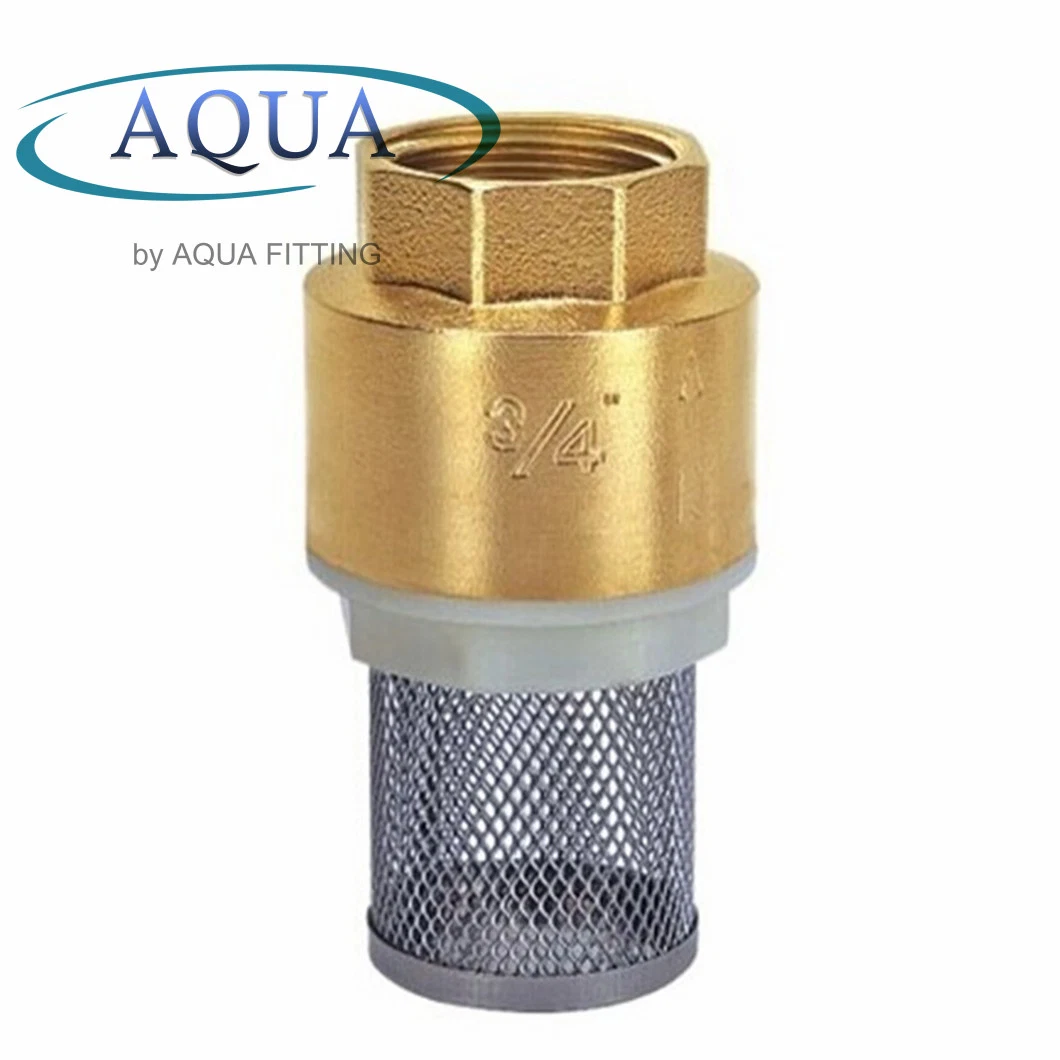 Original Factory Brass with Mesh Check Valve Stainless Steel Web Filter Mesh