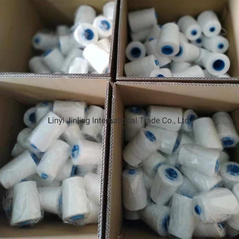 Supply Polyester 100% Rayon OEM Thread 18s/6 Sewing Bag Closing Thread