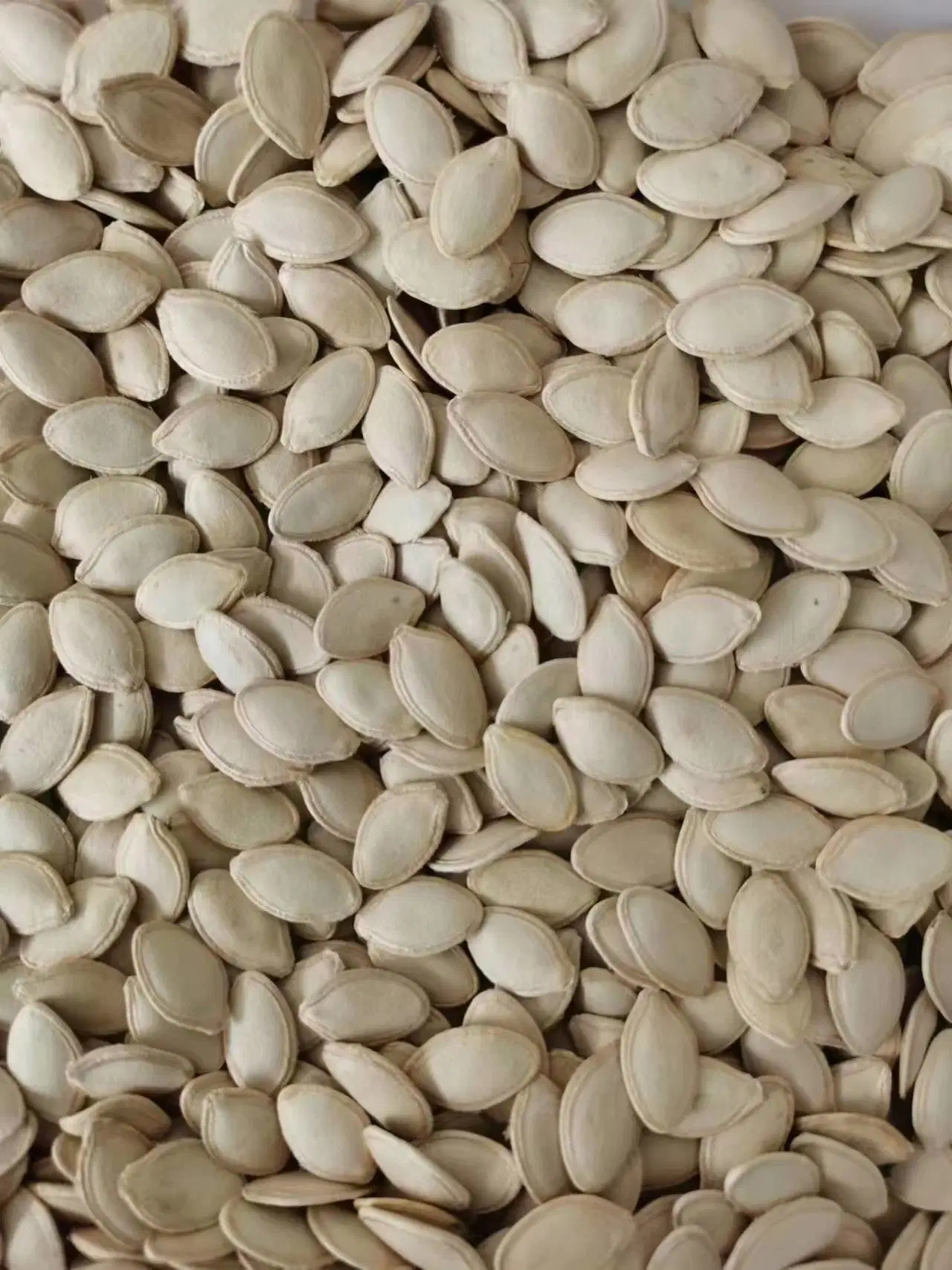 High quality/High cost performance Export China Raw Lady Nail Pumpkin Seeds with Shell 8mm