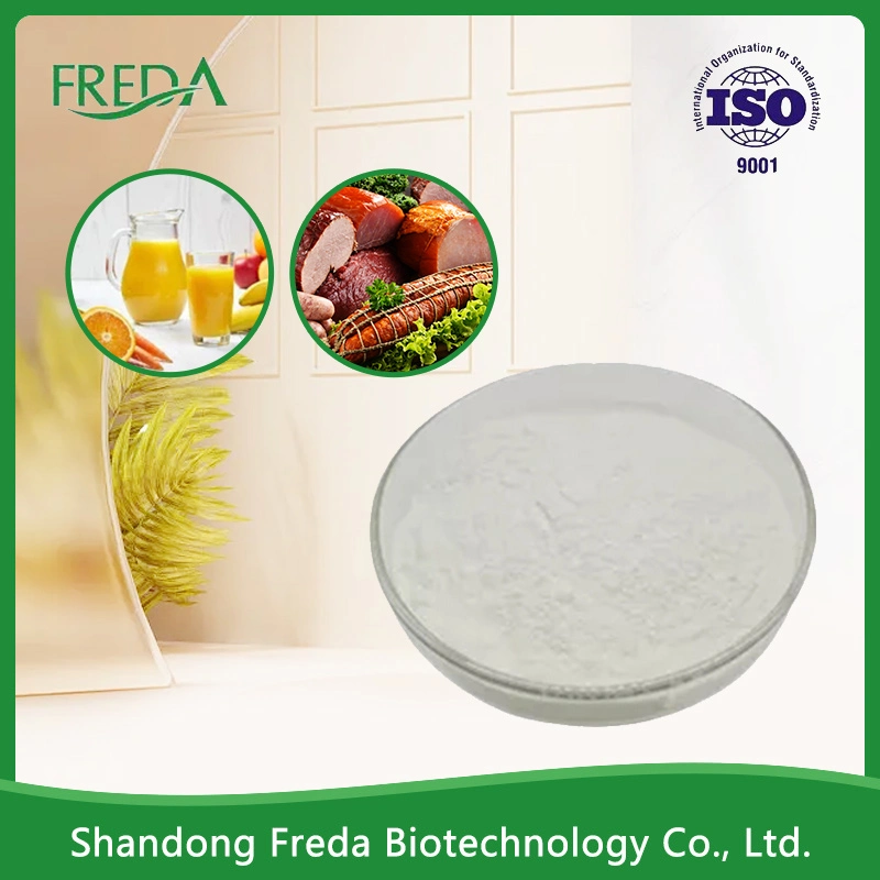 Food Additive Natural Preservative Powder Natamycin Food Preservatives