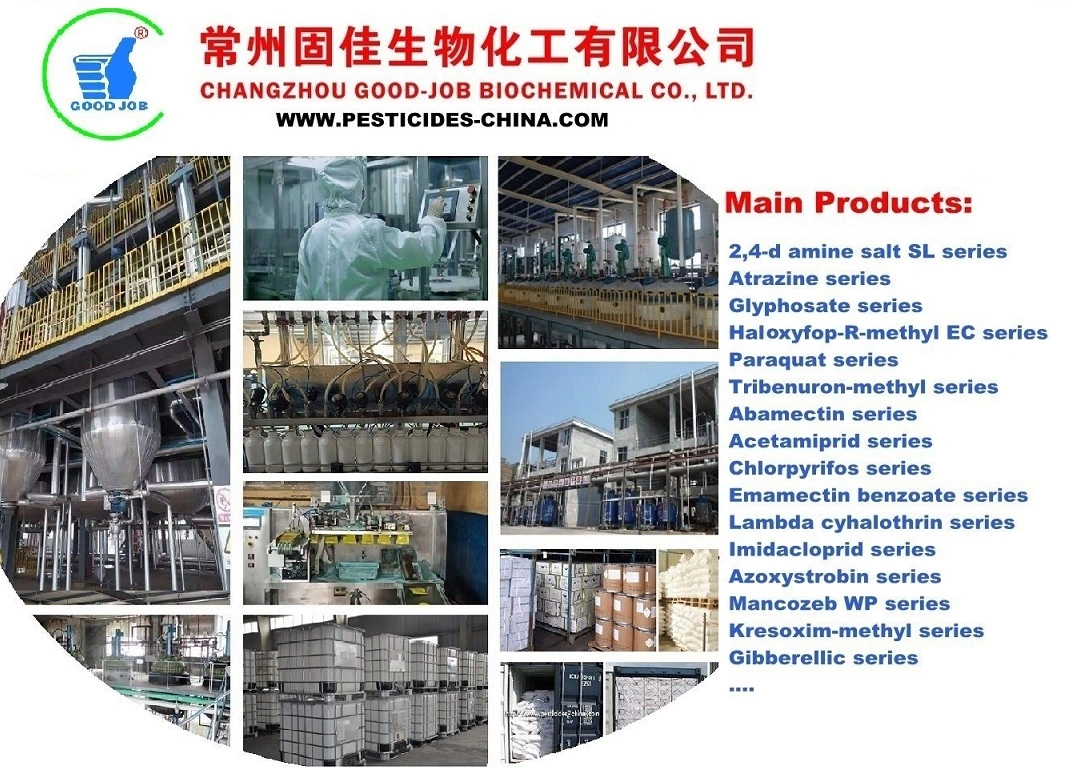 China fornecedor fábrica Glifosato / Roundup / Glifosato 480 SL, 360 SL, 41% SL , 48% SL ,51% SL ,62%,75,7% WDG com bom preço