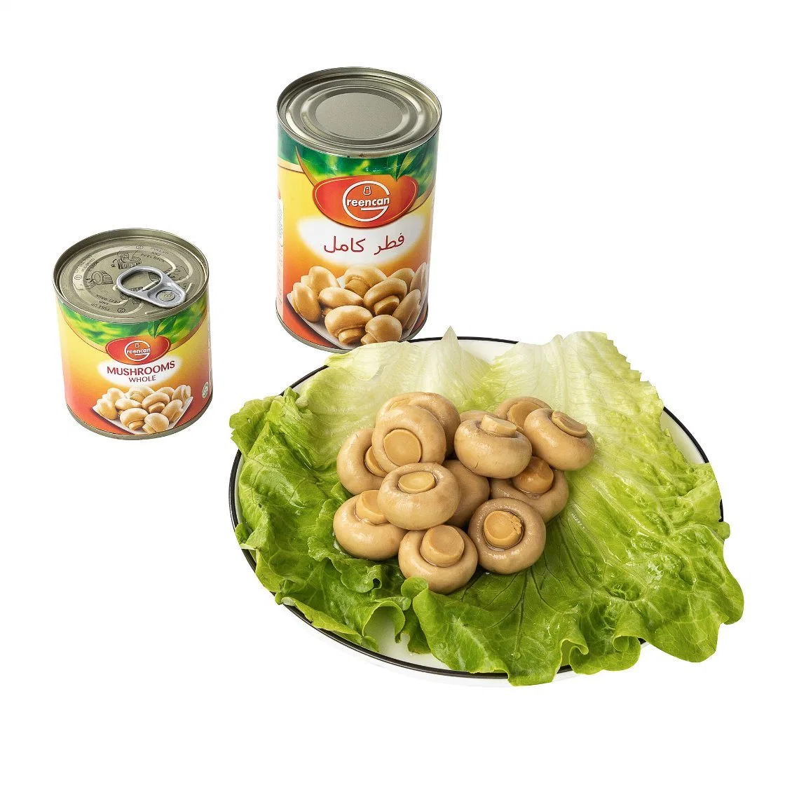 China Manufacturer Canned Fresh Whole Mushroom in 425g Eol