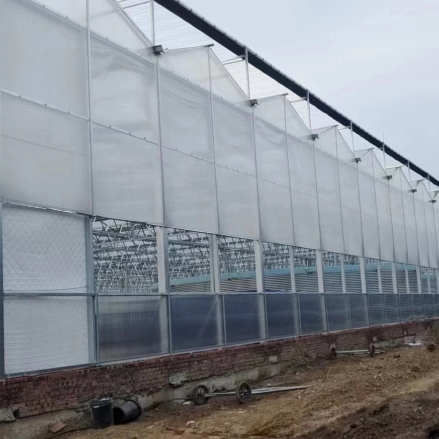 Agricultural Multi-Span PC Sheets Polycarbonate Greenhouses