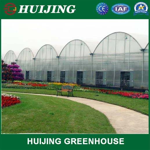Tropical Arch Roofing PC/Film Greenhouse for Hydroponics