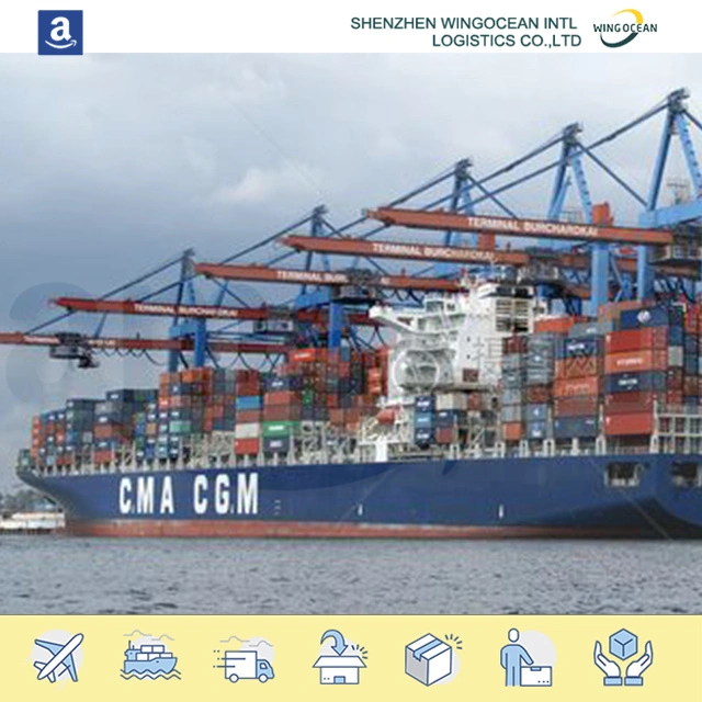 Sea Shipping From China to USA/ Canada/ Europe with The Competitive Offer and Best Service