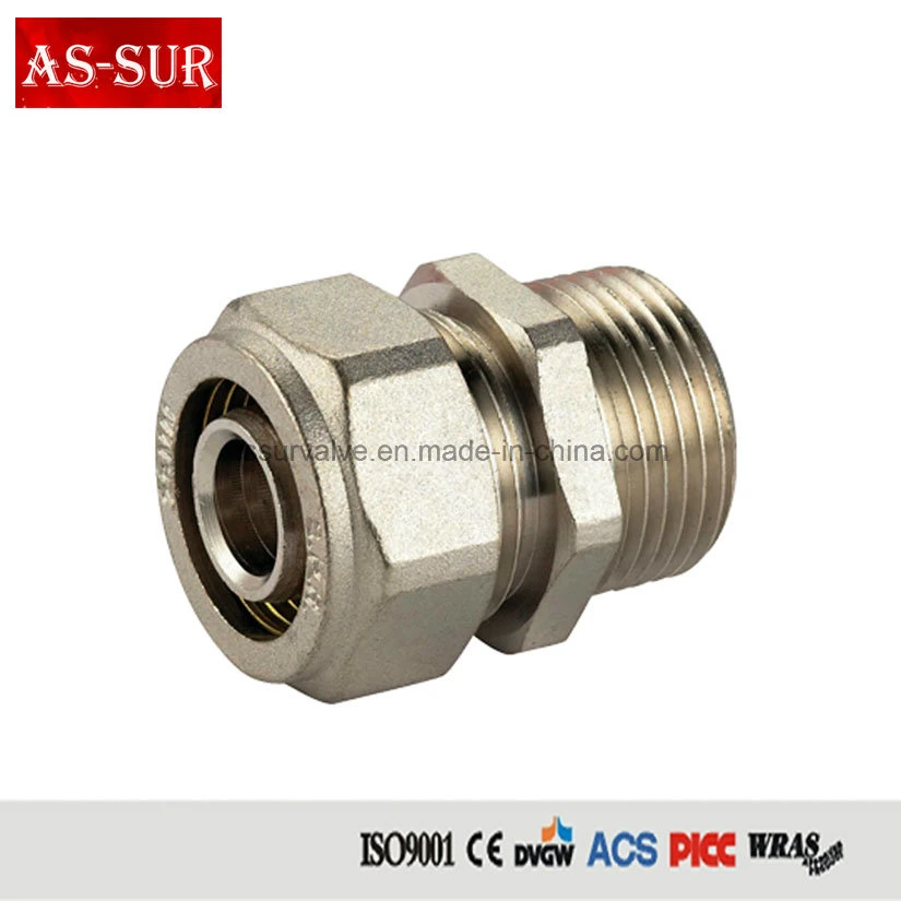 Brass Insert PPR Pipe Fittings Socket