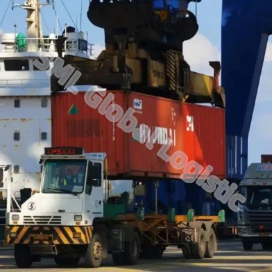 Internaitonal profesional y el mar y aire envío El envío de transportista de China a la puerta a puerta en todo el mundo de los servicios de DDP