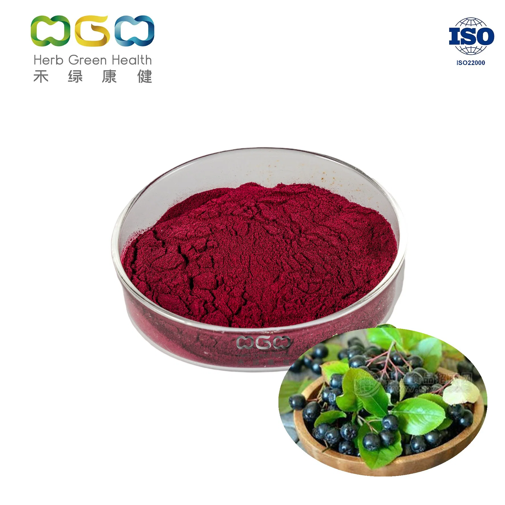 Natural Healthcare Boost Immune System Anti-Cancer Aronia SD Powder
