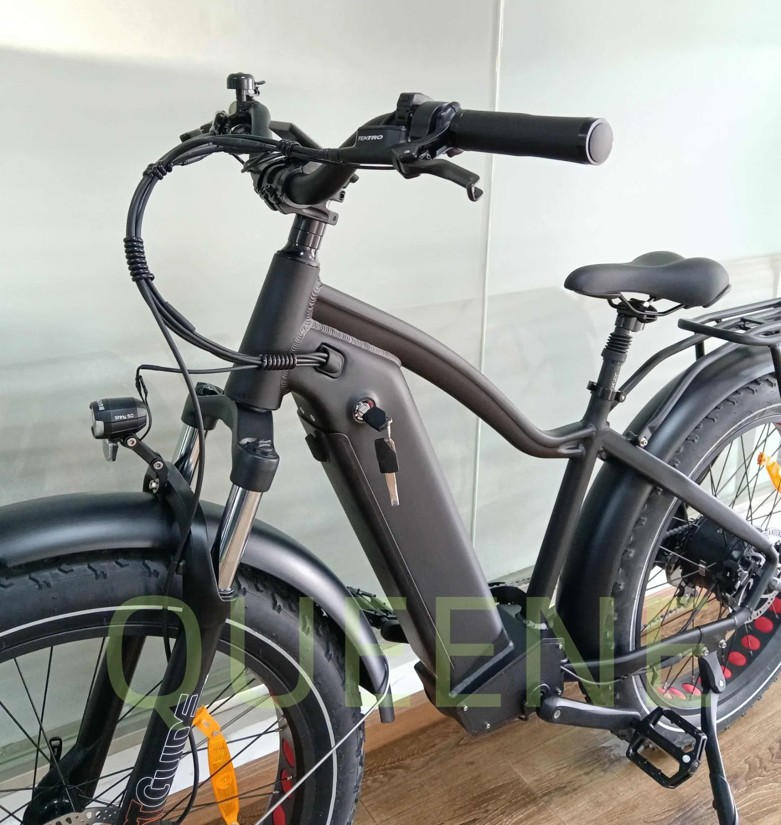 Давление в шинах жира Ebike Queene/электрический велосипед E-Bike алюминиевого сплава 26 дюйма 48V электрический жир шины велосипеда для взрослых