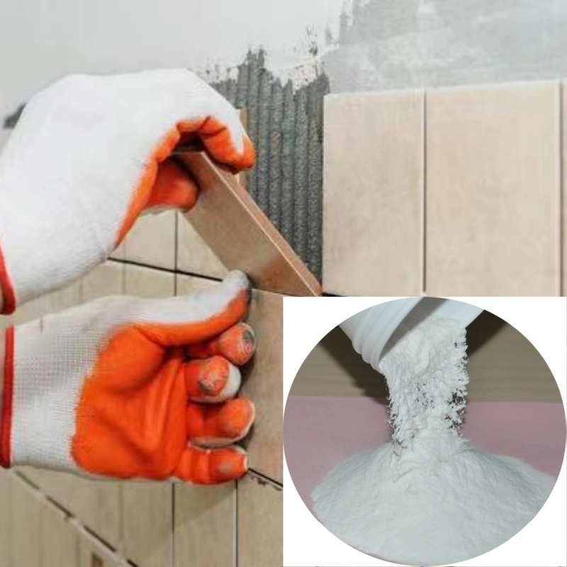 Ethylene-Vinyl Acetate Copolymer Vae Copolymer Rdp Powder EVA Redispersible Emulsion Powder Vae Rdp Adhesive