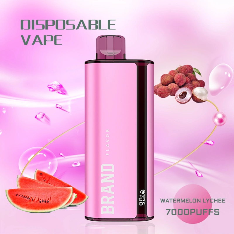 ميش كويل 7000 أطواق مافحة قلم سجائر إلكترونيّة يمكن التخلص منها قلم لوح Vapor بشاشة LED لجهاز Flavours سعة 15 مل لتيار هواء قابل لإعادة الشحن