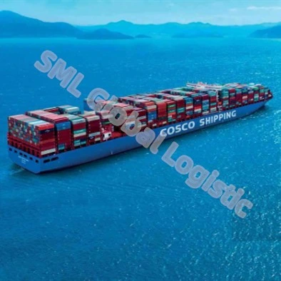 Быстрый и безопасный экспедитора океана морских перевозок на полную емкость грузовые перевозки Китай в Бостон/UK/Канада к двери, в том числе доставки