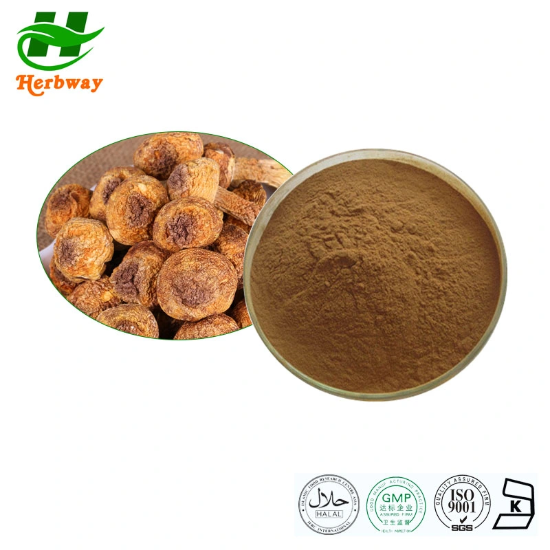 Herbway Cordyceps Acid Antibacterial Regulating Immunity Agaricus Blazei Cordyceps Sinensis Extract