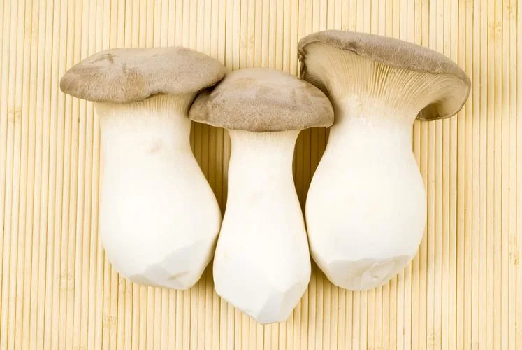 Convenient Storage King Trumpet Oyster Mushrooms with Bag Packing