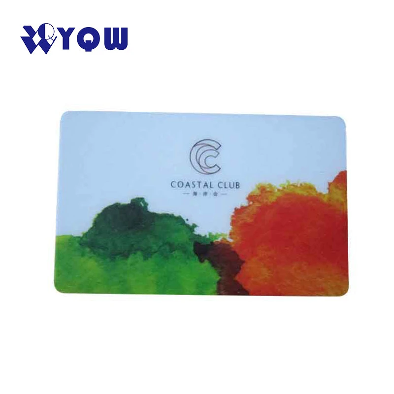 Custom Logo Holographic Printing Full Colour Clear PVC Business Cards