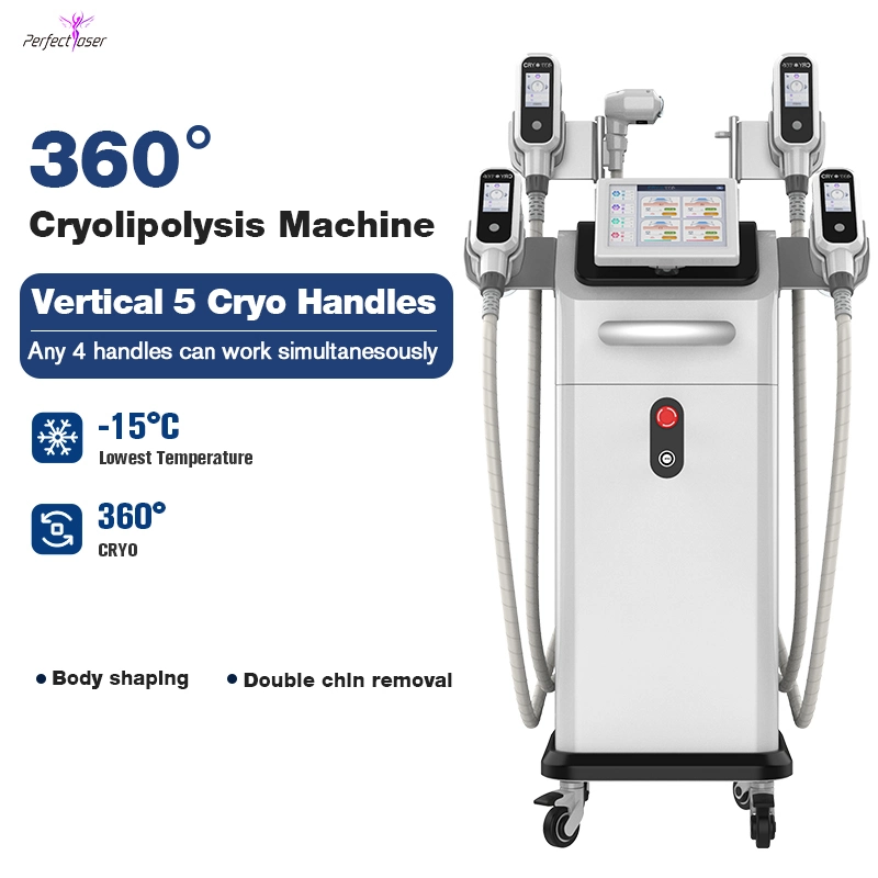 FDA Cryolipolysis Fat Freezing Weight Loss Beauty Equipment