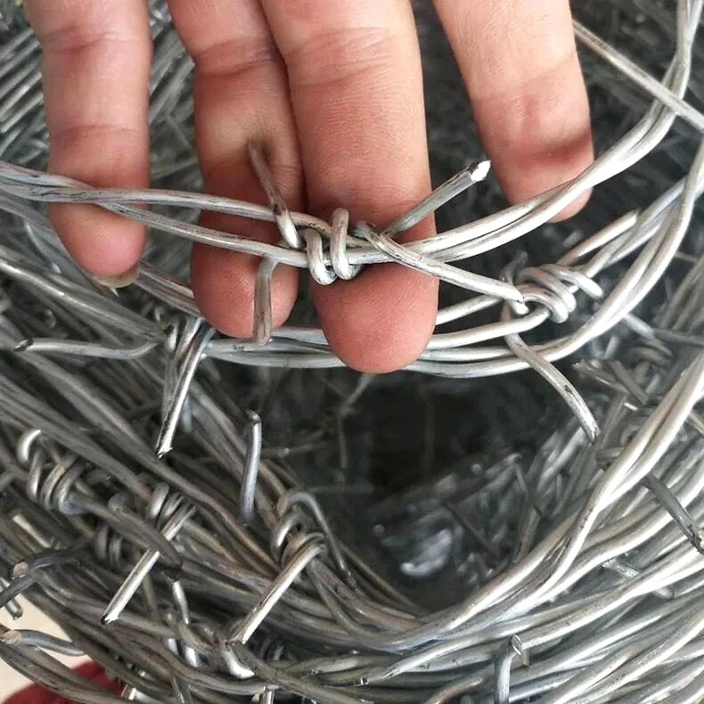 Barbed Iron Wire Barbed Wire Mesh for Guangzhou Sample