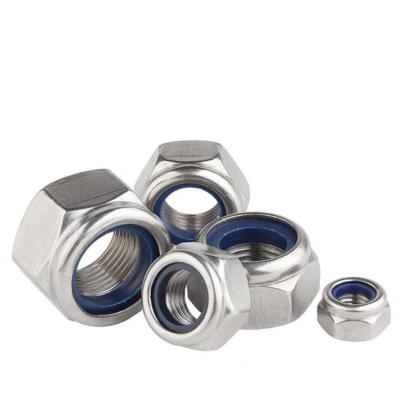 Stainless Steel Hex Nylon Insert Lock Nut Self-Locking Lock Nut