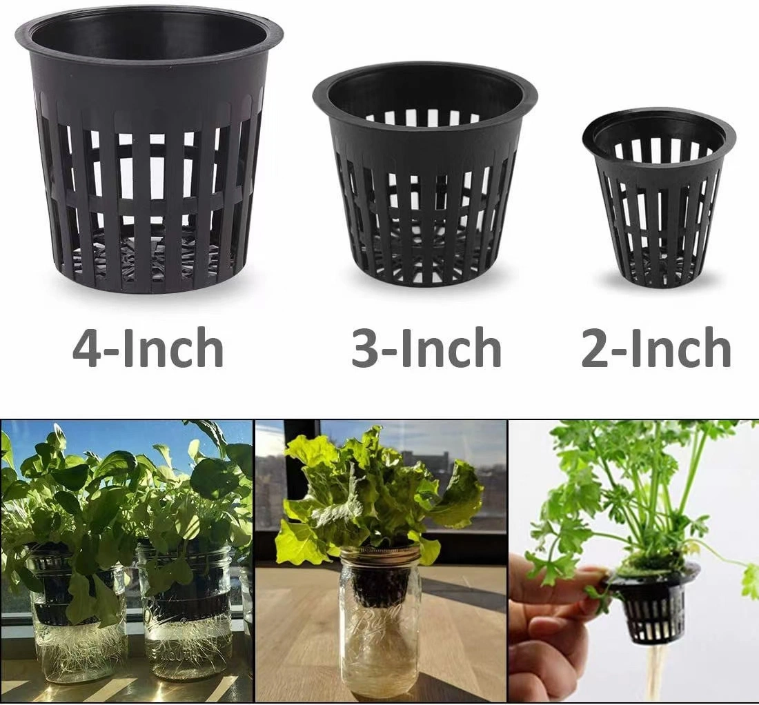 Hottest Hydroponics Cups with Wide Round Lips