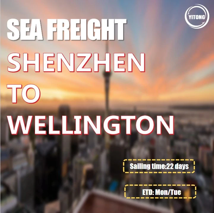 Maritime Freight From Xiamen to Wellington New Zealand