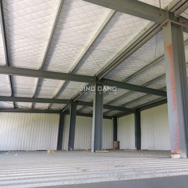 Industrial Pre-Engineered Steel Structure Prefabricated Plant Factory Construction Building Project for Warehouse Workshop