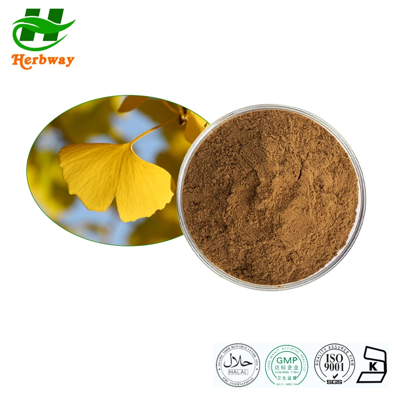 Herbway Kosher Halal Fssc HACCP Certified Ginkgo Leaf Extract for Brain Booster Flavones