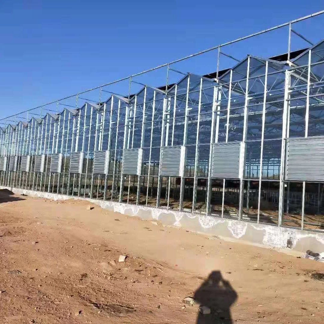 Venlo Eco-Garden with Hydroponics and Irrigation System