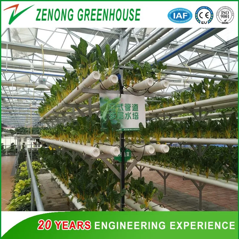 Multispan PC Greenhouse with Hydroponics Equipment for Soiless Cultivation