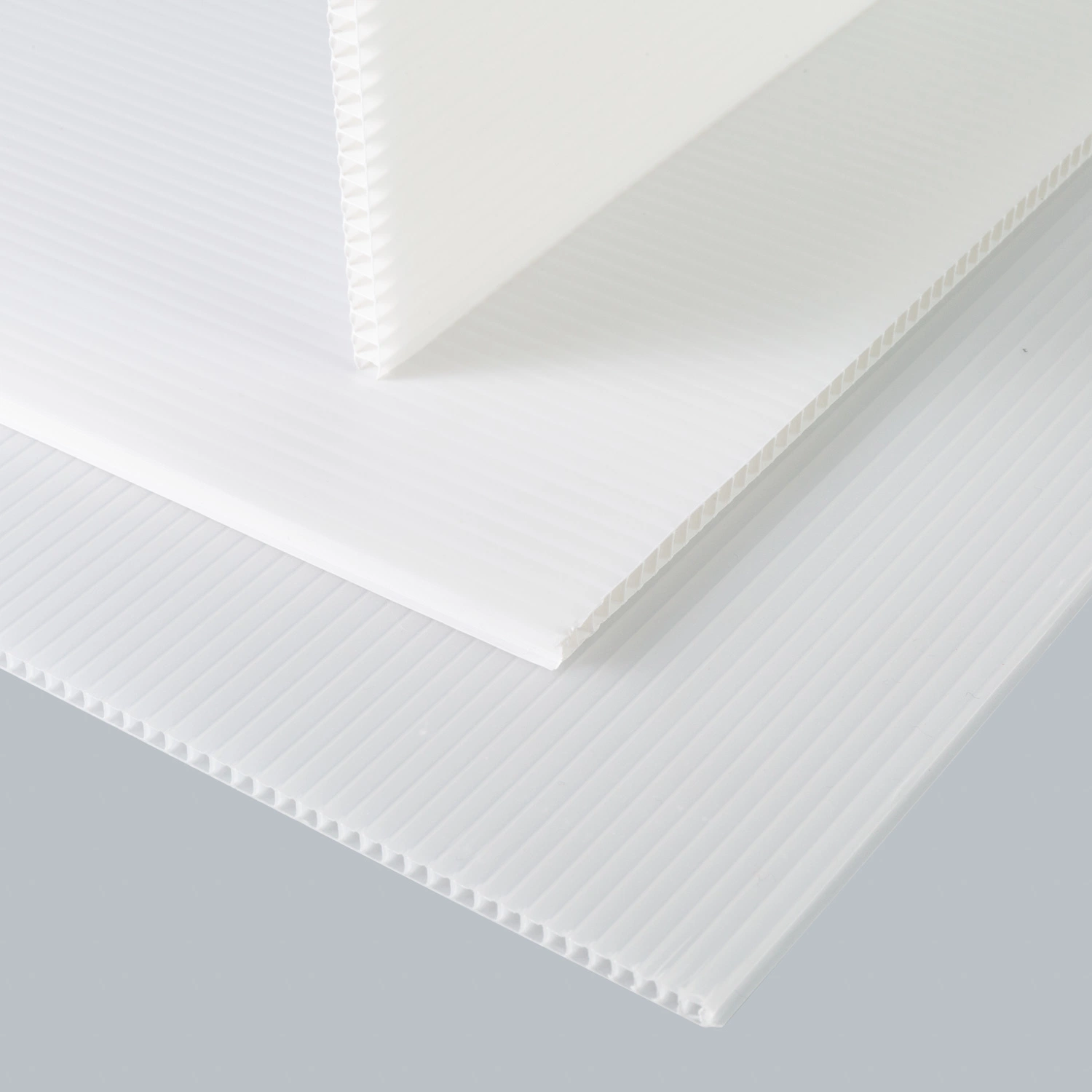 White PP Hollow Polyphenylene Correx Conflute Coroplast Sheet