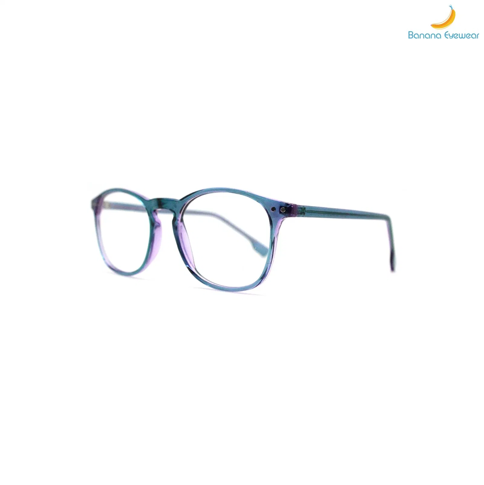 Newest Promotion Injection Retro Round Glasses Optical Frame with Ce Certificate