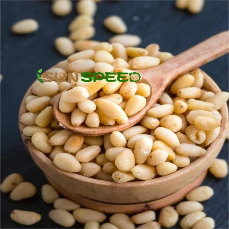 Edible 2023 New Crop Blanched Cedar Pine Nut Kernels