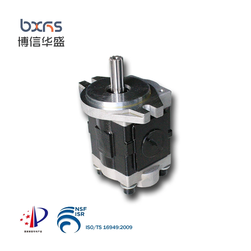 Cbhs-F20 Series Hydraulic Aluminum Gear Rotary Pump for Electric Forklift