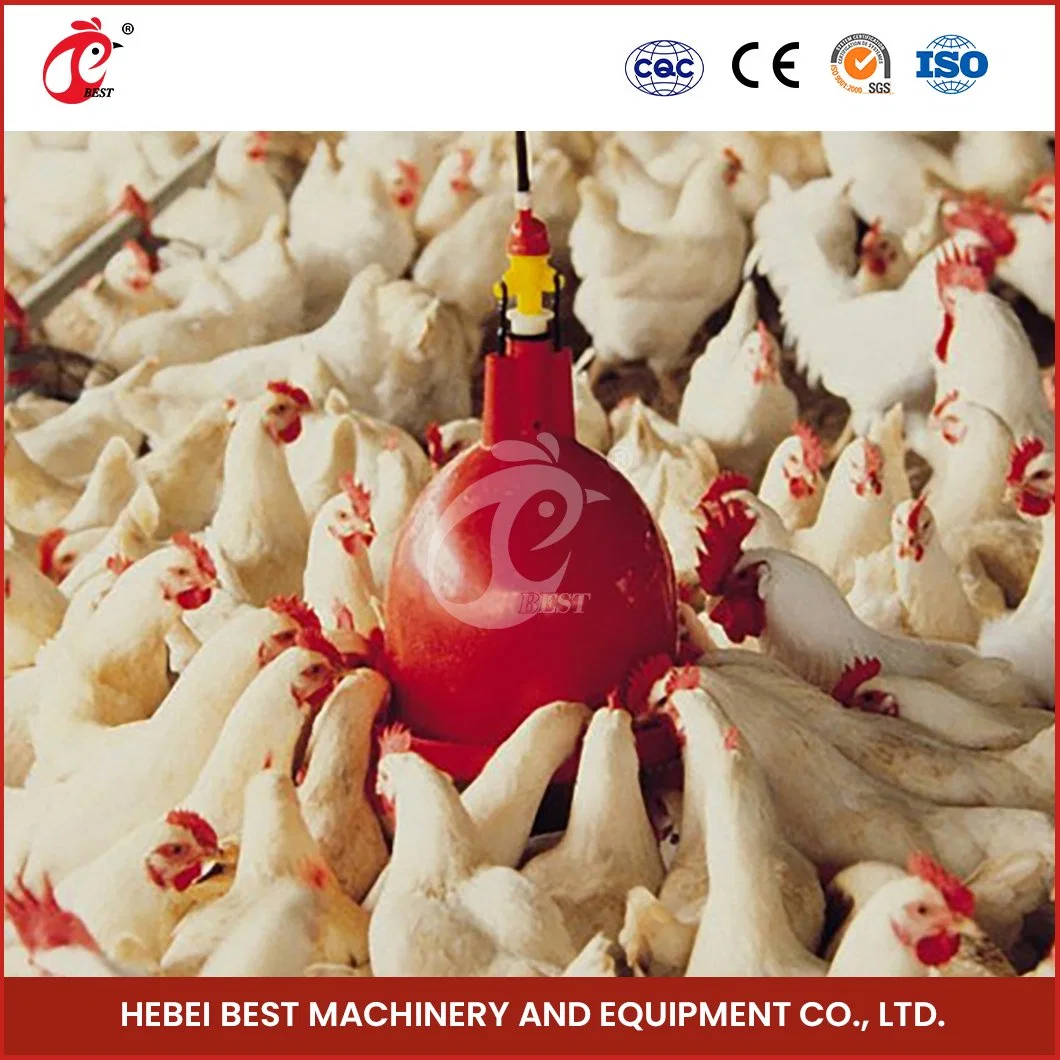 Bestchickentage Broiler production Bell drinker Chine automatique volaille mamelon drinker Système de niperseur de poulet personnalisé et facile à contrôler d'usine OEM