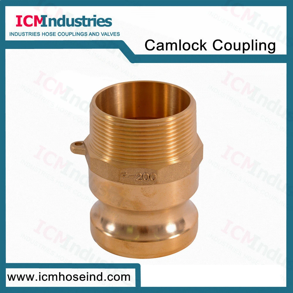 Forged Brass Hydraulic Quick Disconnect Coupling