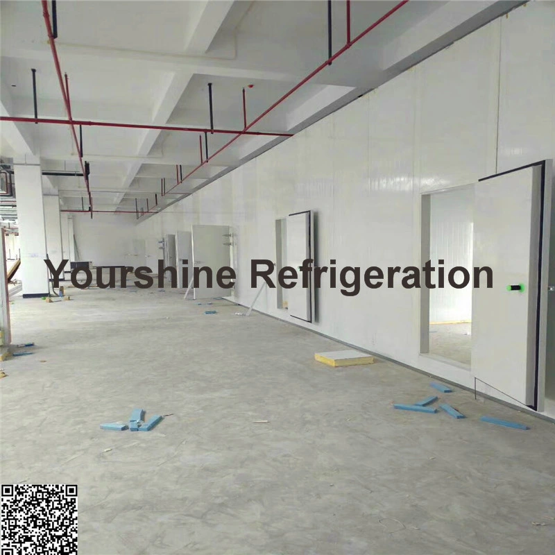 SGS Approved High quality/High cost performance  Fly-Back Door for Cold Room/Cold Storage