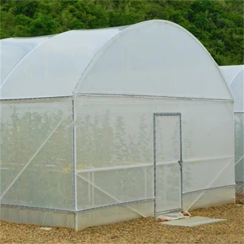 Multi Span Film Greenhouse con refrigeración/ Sombreado/riego China Supplier