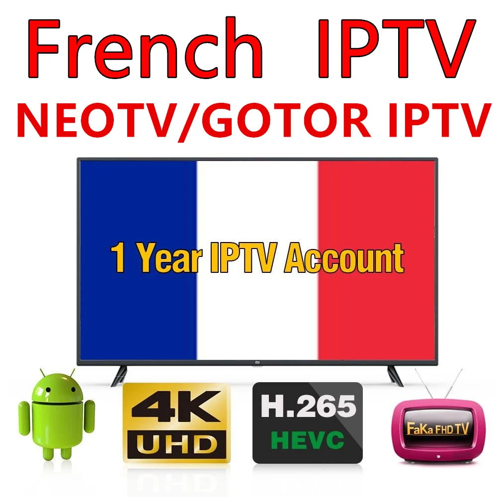 Stable France IPTV Server 1year Suscripción IPTV España Francés Alemania Italia Android TV Box Smart TV Mag m3u Streaming IP TV