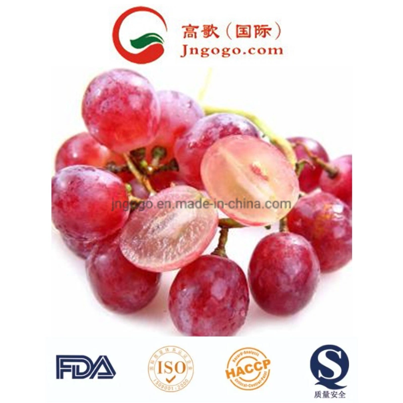 Uvas frescas de qualidade super frescos frutos Crimson para exportar