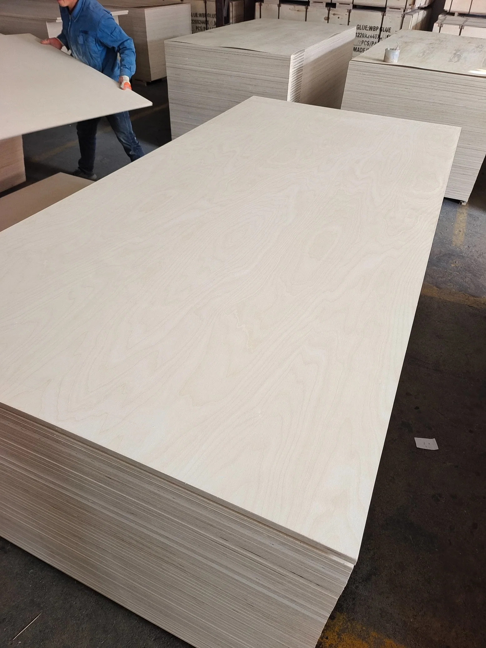 China Fabricantes Madera de abedul Madera de madera a prueba de humedad Contrachapado Hoja 18mm para Muebles