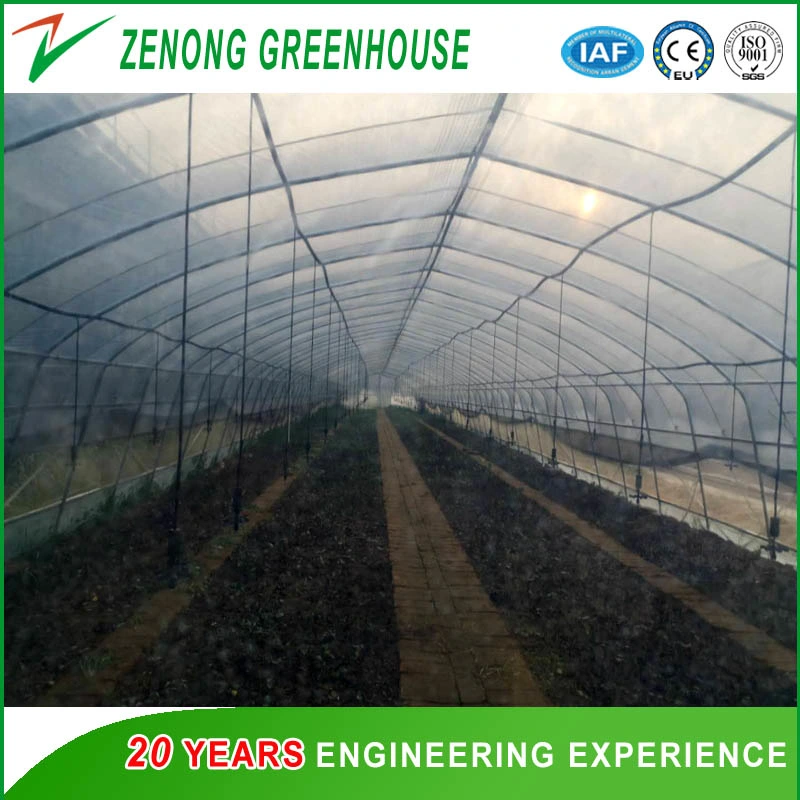 Economic Single Span 200 Micron Film High Poly Tunnel Greenhouse for Vegetable