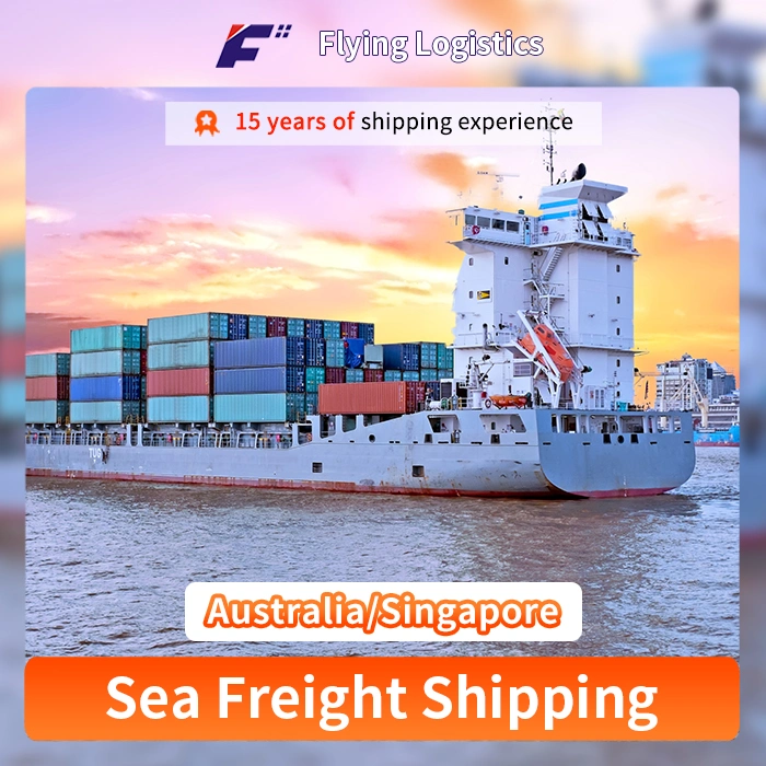 Sea Cargo Shipping Delivery Freight Forwarder China to Australia/Singapore