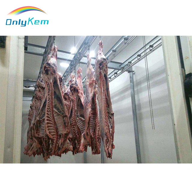 Matadero utiliza frío congelador de almacenamiento para el procesamiento de carne