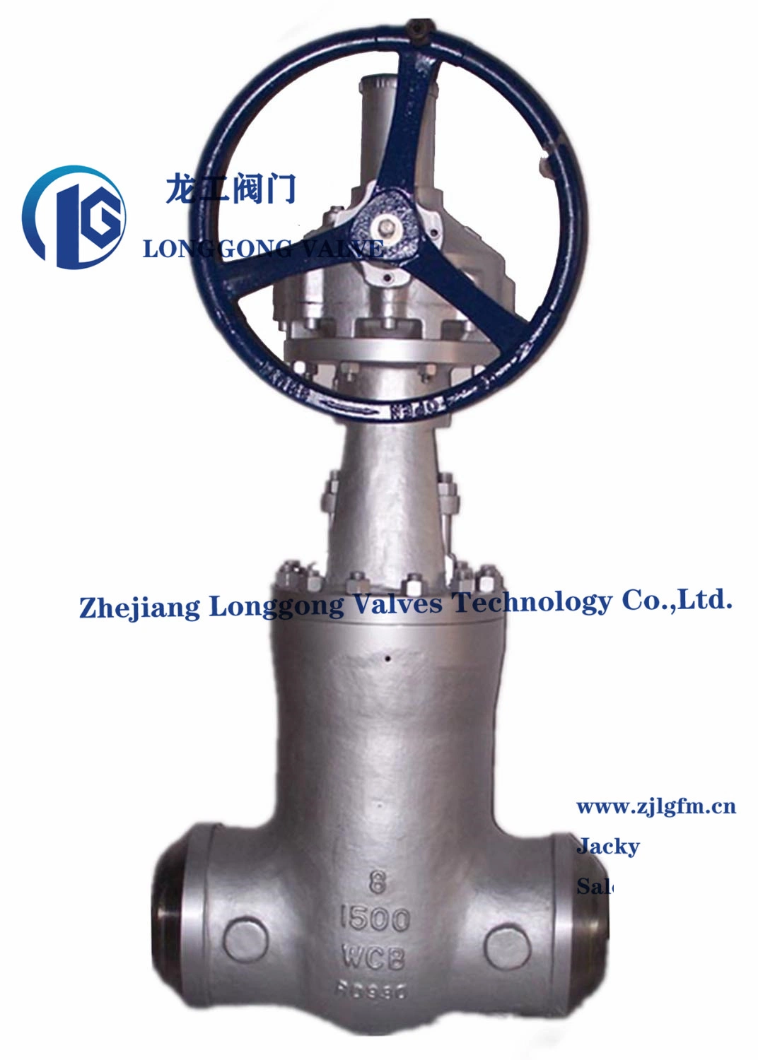 Nace Mr 0175 API600 Cast Steel/Stainless Steel, Wcb&CF8&CF8m Butt Welded Flexible Wedge Bolted Bonnet Rising Stem Gate Valve&Globe Valve