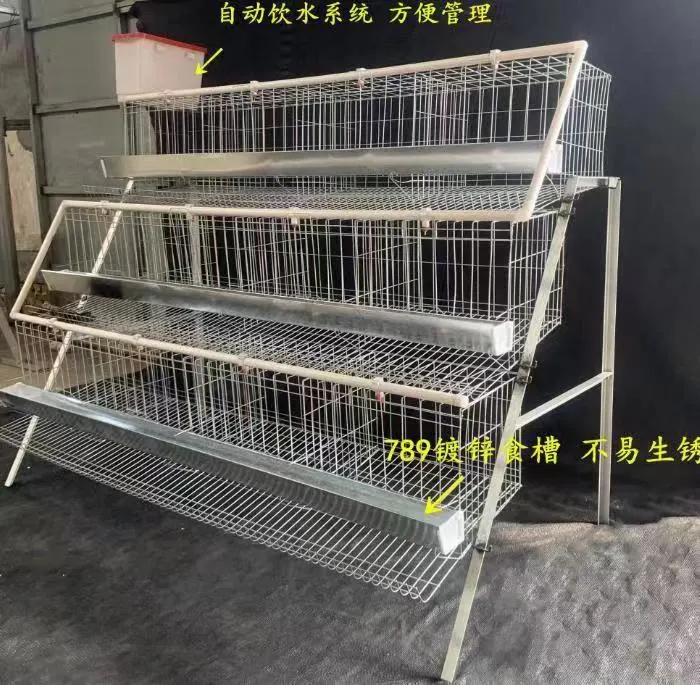 Professional Large Cheap Coop Hot-DIP Galvanized Automatic Chicken Layer Cage with Low Price Battery Chicken Cage Chicken Layer Battery Cage