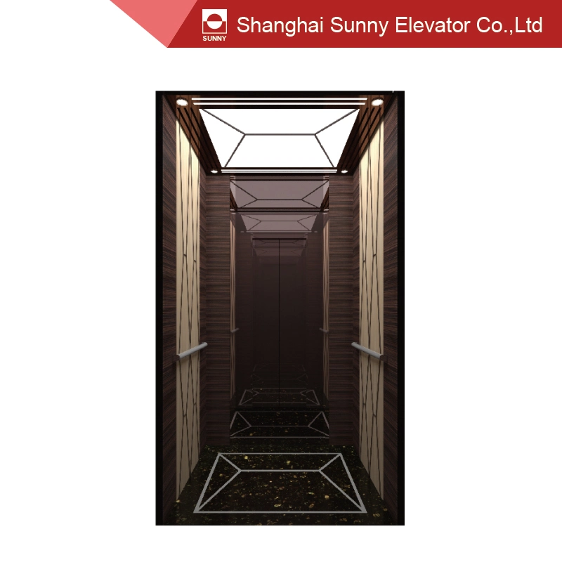 Luxurious Passenger Elevator 1.0m/S 630kg / Elevator Parts / Lift Cabin