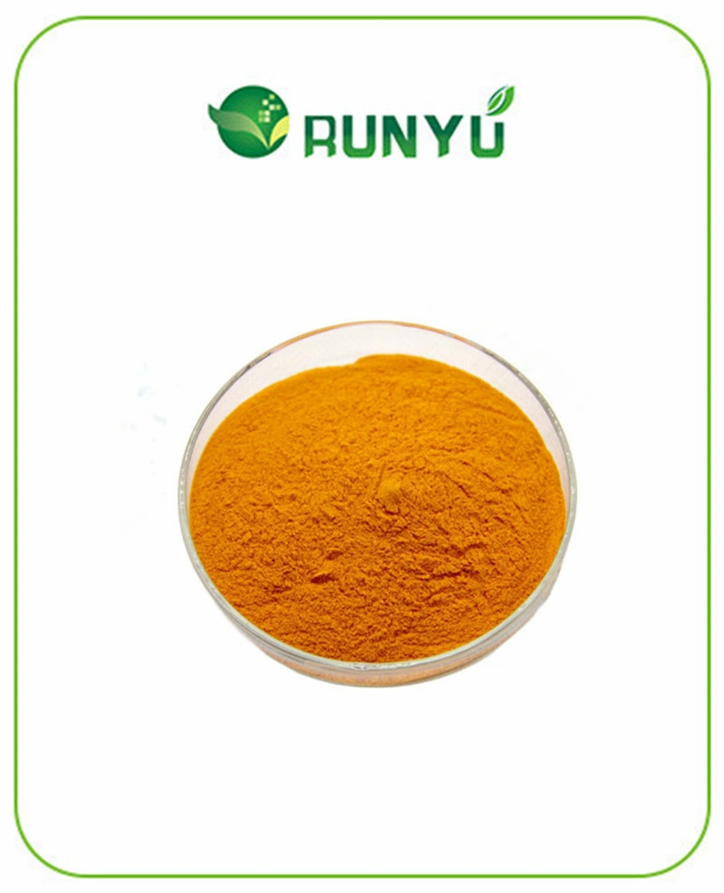 Дополнение Marigold Flower Extract Zeaxanthin порошок