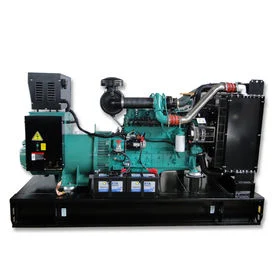 Manufacturer Direct Sale China 240kw 300kVA Natural Gas Generator/Genset