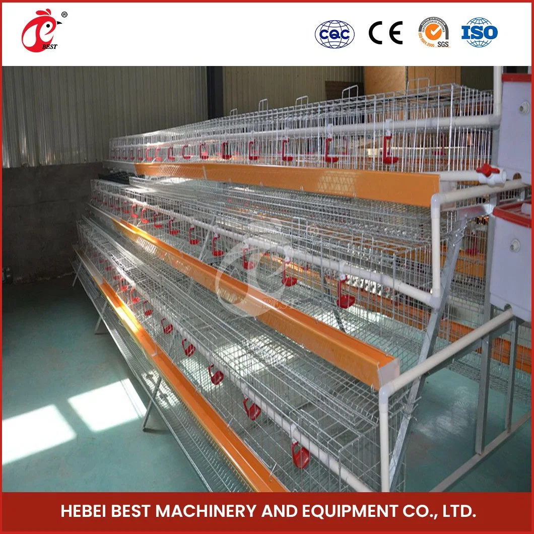 Bestchickencage Gewöhnliche Art Schicht Cage China Chicken Layer Coops Herstellung Freies Muster Stahldraht Material Geflügelschicht Cage