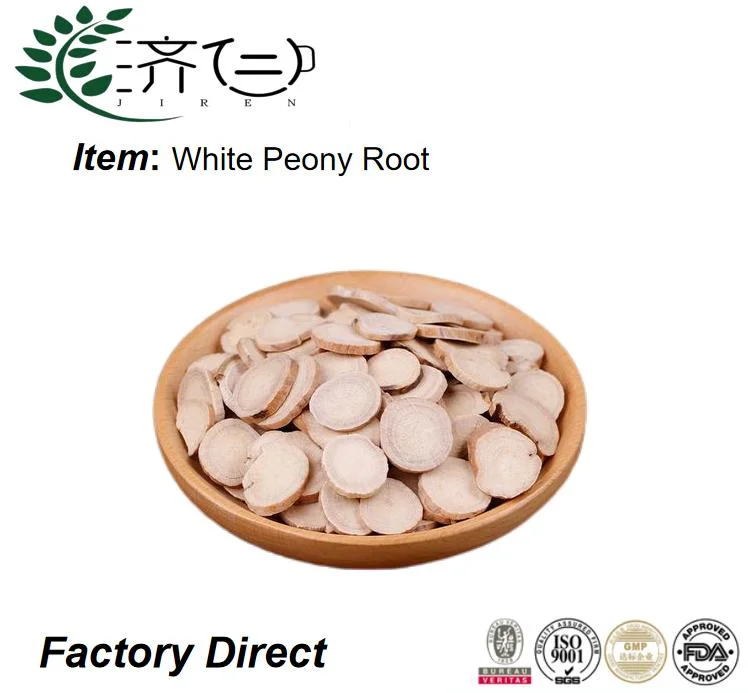 Factory Supply Radix Paeoniae Alba Natural Herbal Medicine White Peony Root Baishao